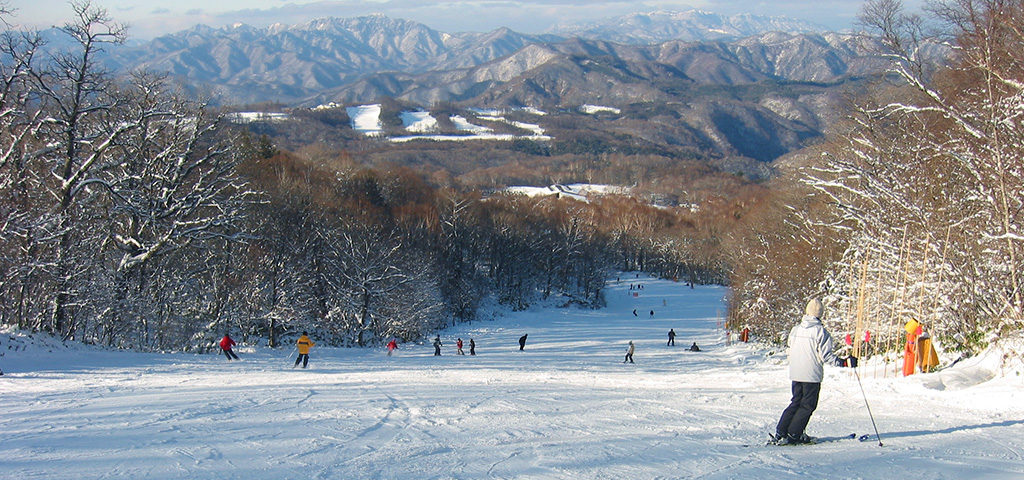 エーデルワイススキーリゾート