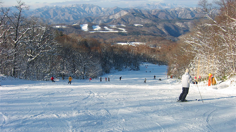 エーデルワイススキーリゾート
