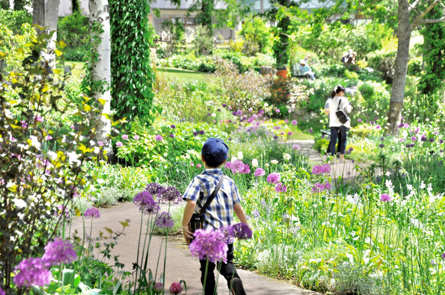 大雪 森のガーデン