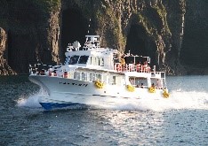 知床半島クルージング