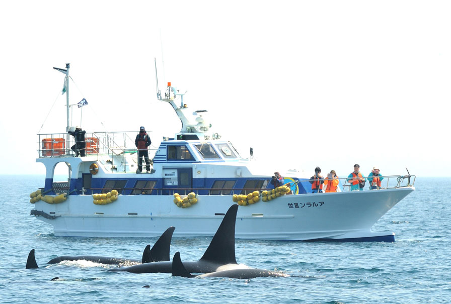 観光船アルランⅢ世