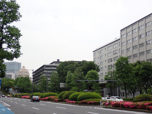 国会通り(霞ケ関・国会議事堂)のイメージ画像