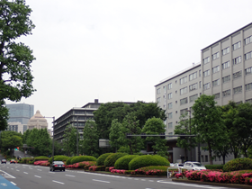国会通り(霞ケ関・国会議事堂)のイメージ画像