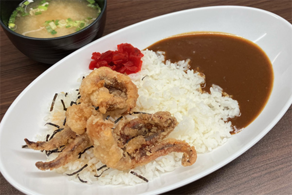 北のよくばりカレー