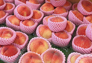 福島県産「桃」