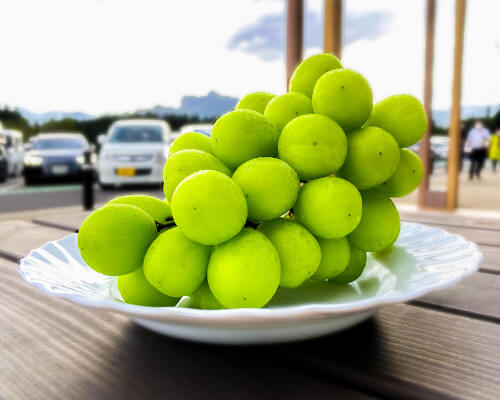 シャインマスカット