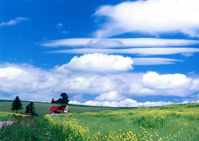 「きがらしの丘」のイメージ画像