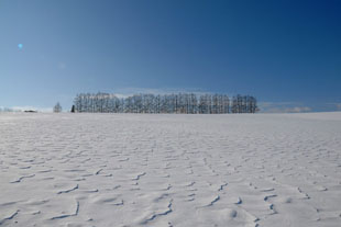 「冬の丘」のイメージ画像