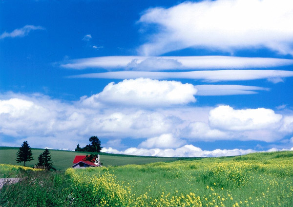 「きがらしの丘」のイメージ画像