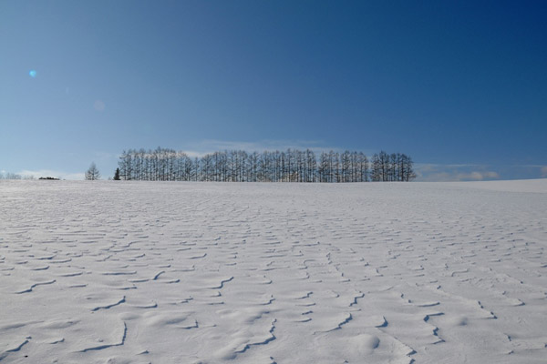 「冬の丘」のイメージ画像