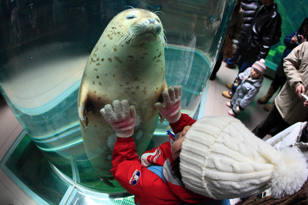 「さわりたい！」のイメージ画像
