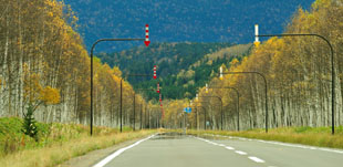 「こっちへおいで」のイメージ画像