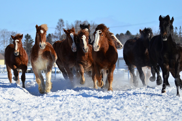 「躍動」のイメージ画像