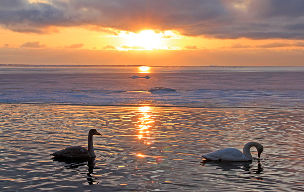 「私だけの羊蹄山」のイメージ画像