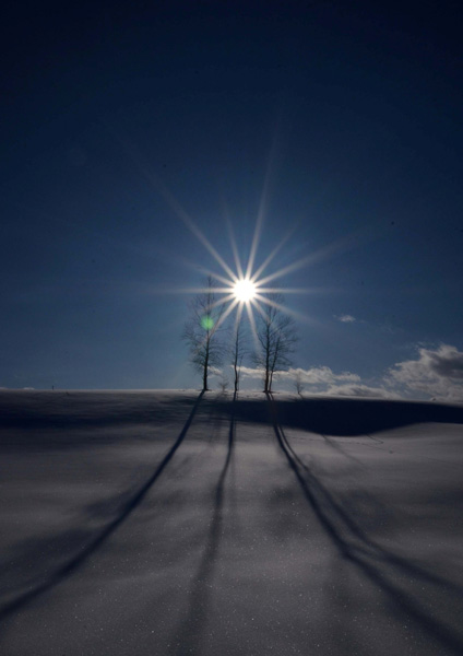 「出逢い」のイメージ画像