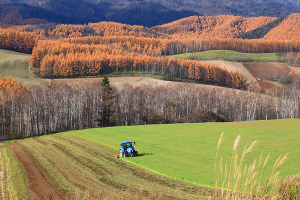 「緑肥を施す秋」のイメージ画像