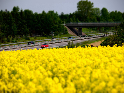 「菜の花ハイウェイ」のイメージ画像