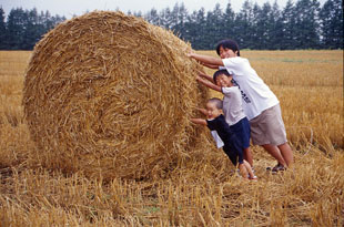 「力を合わせて」のイメージ画像