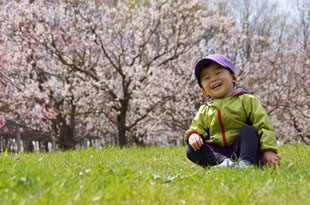 「やわらかな光に包まれて」のイメージ画像