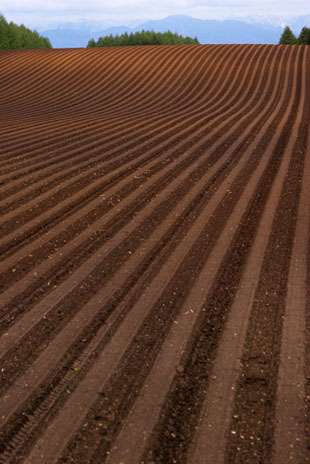 「ウェービング」のイメージ画像