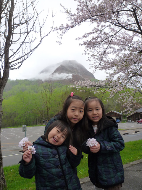 「孫・三姉妹」のイメージ画像