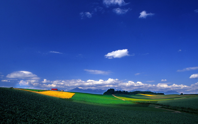 「パッチワークの丘」のイメージ画像