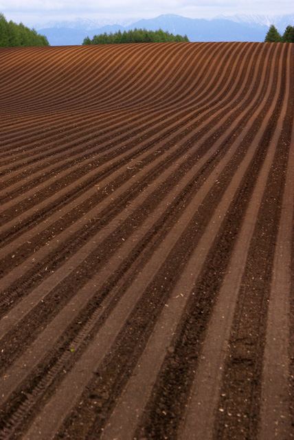 「ウェービング」のイメージ画像