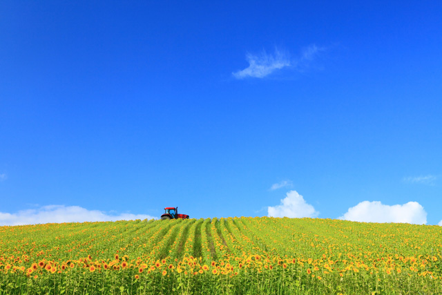 「丘のトラクター」のイメージ画像