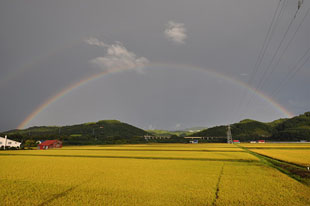 「二重の美虹がかかる高速道」のイメージ画像