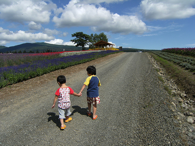 「明日への道」のイメージ画像