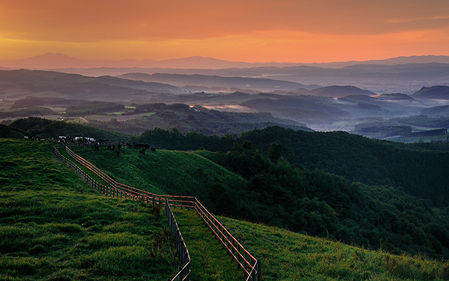 「黎明の牧場に雲海を見る」のイメージ画像
