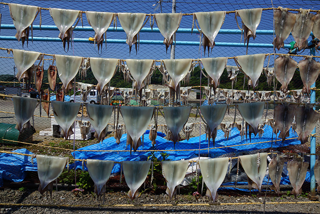 「いか干し」のイメージ画像