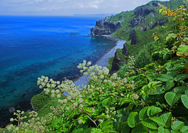 「盛夏の神威岬」のイメージ画像