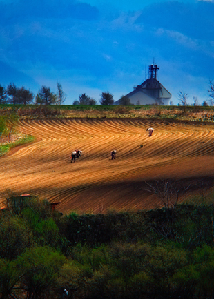 「春の曲線」のイメージ画像