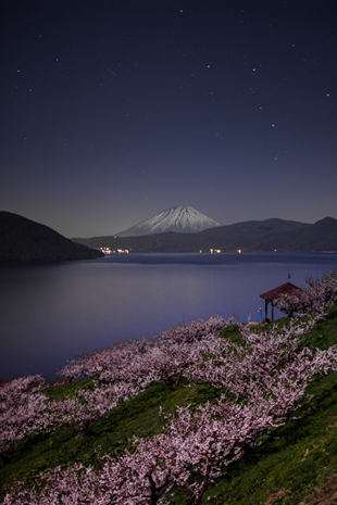 「桃源郷」のイメージ画像