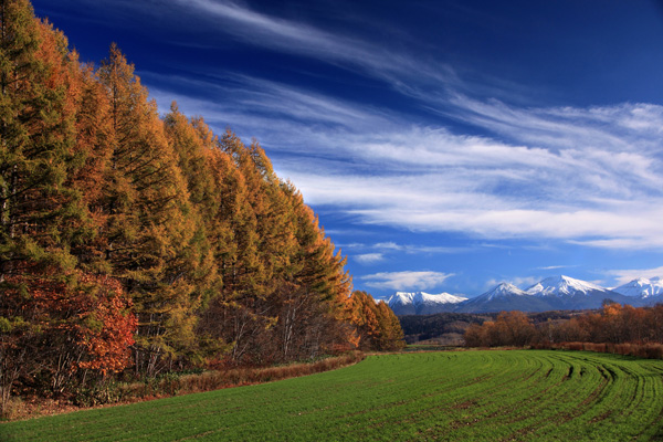 「深まる秋」のイメージ画像