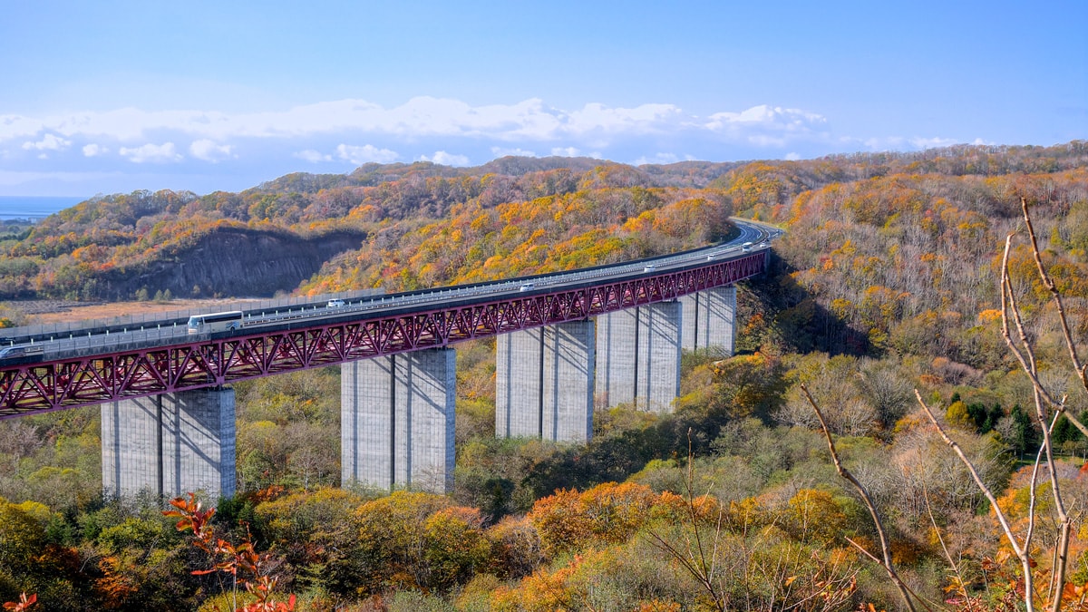 「紅葉の中を走る」のイメージ画像