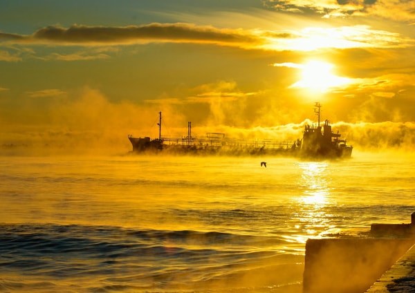 「金色の海」のイメージ画像