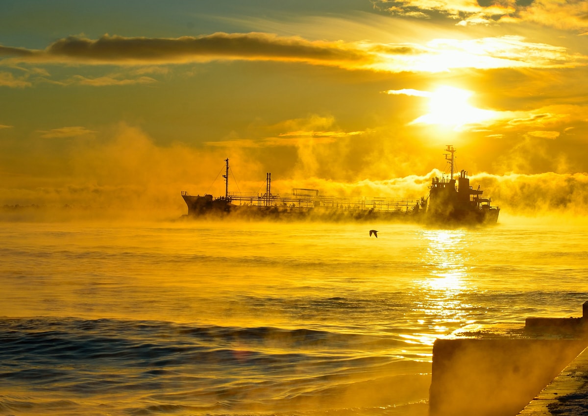 「金色の海」のイメージ画像