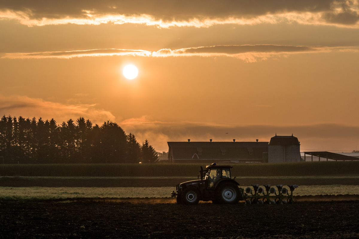 「朝陽を浴びて」のイメージ画像