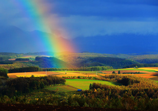 「空からの贈り物」のイメージ画像