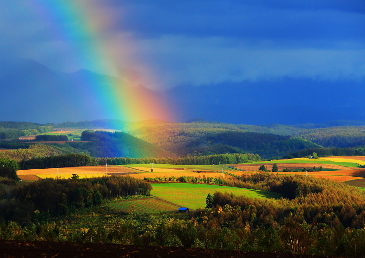 「空からの贈り物」のイメージ画像