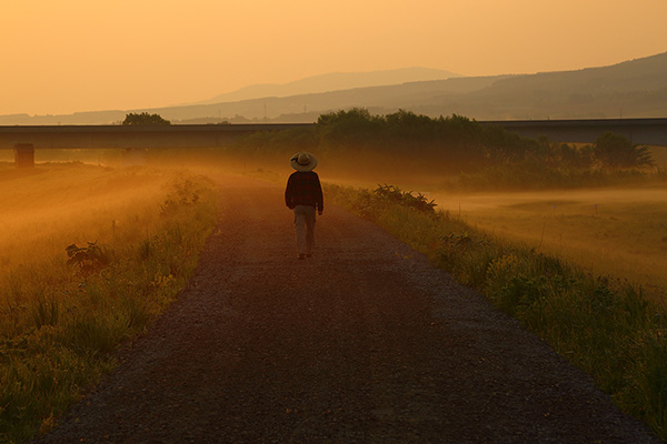 「早い冬の雪模様」のイメージ画像