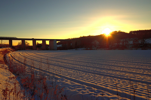 「霧に染まる道」のイメージ画像