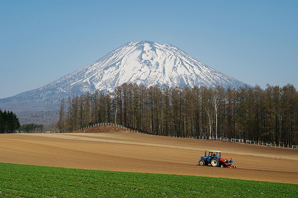 「大地の春」のイメージ画像