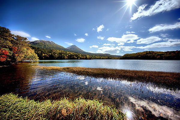 「秋麗」のイメージ画像