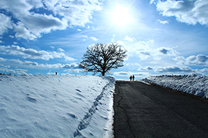 「春の兆し」のイメージ画像