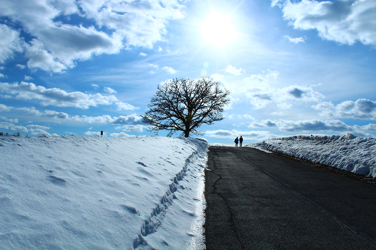 「春の兆し」のイメージ画像