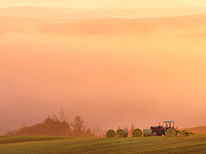 「絵葉書の世界」のイメージ画像