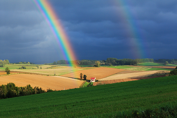 「幸せの架け橋」のイメージ画像